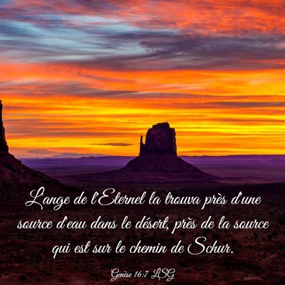 Picture 03 - Genèse 16:7 LSG - L'ange de l'Eternel la trouva près d'une source - Bible Verse Picture