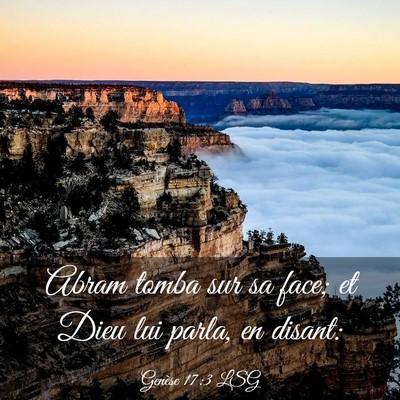 Picture 03 - Genèse 17:3 LSG - Abram tomba sur sa face; et Dieu lui parla, en - Bible Verse Picture