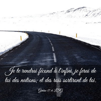 Picture 03 - Genèse 17:6 LSG - Je te rendrai fécond à l'infini, je ferai de - Bible Verse Picture