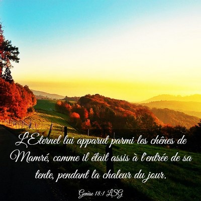 Picture 03 - Genèse 18:1 LSG - L'Eternel lui apparut parmi les chênes de - Bible Verse Picture