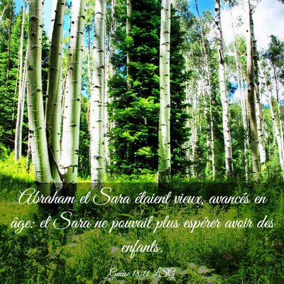Picture 03 - Genèse 18:11 LSG - Abraham et Sara étaient vieux, avancés en âge: - Bible Verse Picture