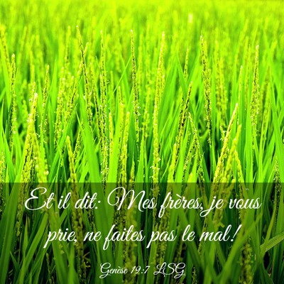 Picture 03 - Genèse 19:7 LSG - Et il dit: Mes frères, je vous prie, ne faites - Bible Verse Picture
