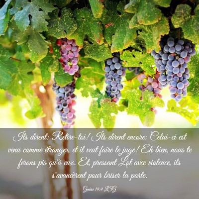 Picture 03 - Genèse 19:9 LSG - Ils dirent: Retire-toi! Ils dirent encore: - Bible Verse Picture