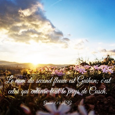 Picture 03 - Genèse 2:13 LSG - Le nom du second fleuve est Guihon; c'est celui - Bible Verse Picture
