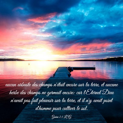 Picture 03 - Genèse 2:5 LSG - aucun arbuste des champs n'était encore sur la - Bible Verse Picture