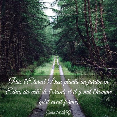 Picture 03 - Genèse 2:8 LSG - Puis l'Eternel Dieu planta un jardin en Eden, du - Bible Verse Picture
