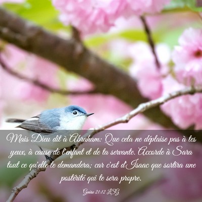 Picture 03 - Genèse 21:12 LSG - Mais Dieu dit à Abraham: Que cela ne déplaise - Bible Verse Picture