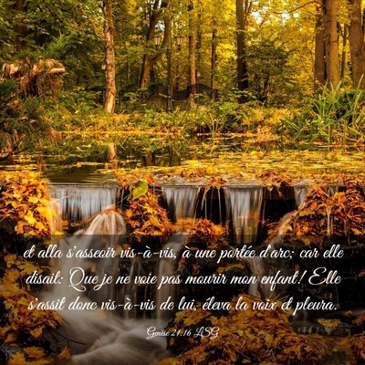 Picture 03 - Genèse 21:16 LSG - et alla s'asseoir vis-à-vis, à une portée - Bible Verse Picture