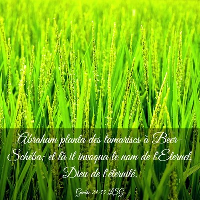Picture 03 - Genèse 21:33 LSG - Abraham planta des tamariscs à Beer-Schéba; et - Bible Verse Picture
