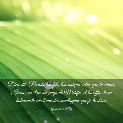 Picture 03 - Genèse 22:2 LSG - Dieu dit: Prends ton fils, ton unique, celui que - Bible Verse Picture