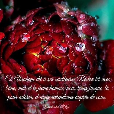 Picture 03 - Genèse 22:5 LSG - Et Abraham dit à ses serviteurs: Restez ici avec - Bible Verse Picture