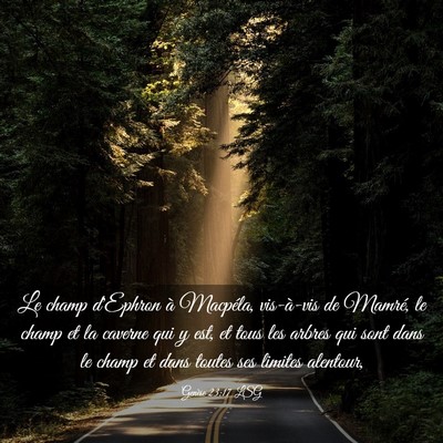 Picture 03 - Genèse 23:17 LSG - Le champ d'Ephron à Macpéla, vis-à-vis de - Bible Verse Picture