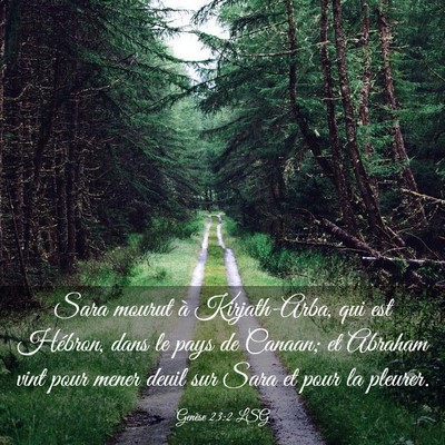 Picture 03 - Genèse 23:2 LSG - Sara mourut à Kirjath-Arba, qui est Hébron, - Bible Verse Picture