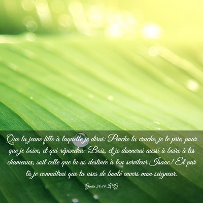 Picture 03 - Genèse 24:14 LSG - Que la jeune fille à laquelle je dirai: Penche - Bible Verse Picture