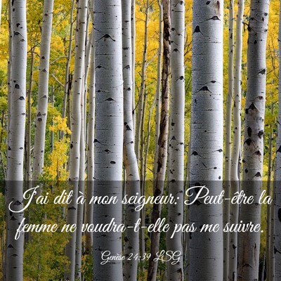 Picture 03 - Genèse 24:39 LSG - J'ai dit à mon seigneur: Peut-être la femme ne - Bible Verse Picture