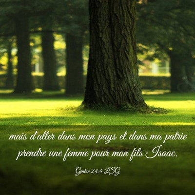 Picture 03 - Genèse 24:4 LSG - mais d'aller dans mon pays et dans ma patrie - Bible Verse Picture
