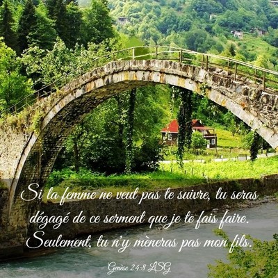 Picture 03 - Genèse 24:8 LSG - Si la femme ne veut pas te suivre, tu seras - Bible Verse Picture
