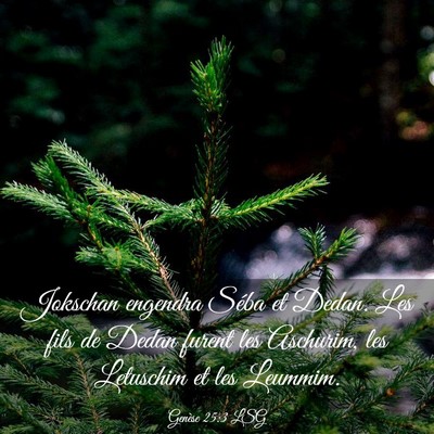 Picture 03 - Genèse 25:3 LSG - Jokschan engendra Séba et Dedan. Les fils de - Bible Verse Picture