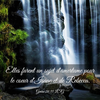 Picture 03 - Genèse 26:35 LSG - Elles furent un sujet d'amertume pour le coeur - Bible Verse Picture