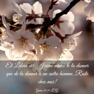 Picture 03 - Genèse 29:19 LSG - Et Laban dit: J'aime mieux te la donner que de la - Bible Verse Picture