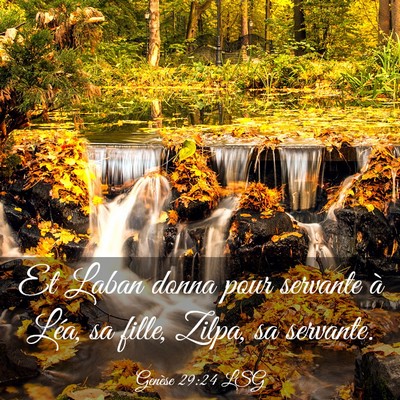 Picture 03 - Genèse 29:24 LSG - Et Laban donna pour servante à Léa, sa fille, - Bible Verse Picture