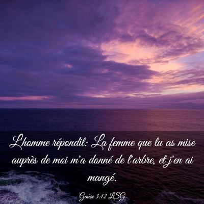 Picture 03 - Genèse 3:12 LSG - L'homme répondit: La femme que tu as mise - Bible Verse Picture