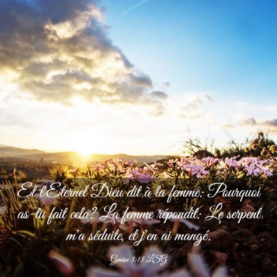 Picture 03 - Genèse 3:13 LSG - Et l'Eternel Dieu dit à la femme: Pourquoi as-tu - Bible Verse Picture