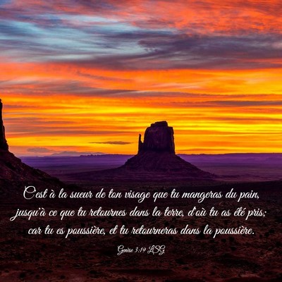 Picture 03 - Genèse 3:19 LSG - C'est à la sueur de ton visage que tu mangeras - Bible Verse Picture