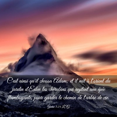 Picture 03 - Genèse 3:24 LSG - C'est ainsi qu'il chassa Adam; et il mit à - Bible Verse Picture
