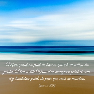 Picture 03 - Genèse 3:3 LSG - Mais quant au fruit de l'arbre qui est au milieu - Bible Verse Picture
