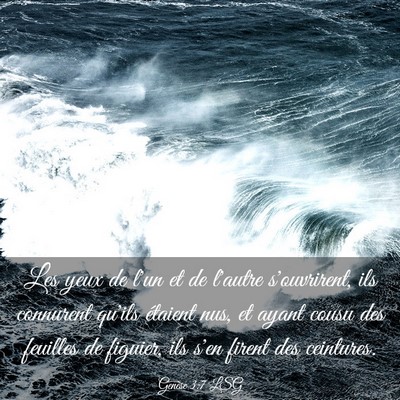 Picture 03 - Genèse 3:7 LSG - Les yeux de l'un et de l'autre s'ouvrirent, ils - Bible Verse Picture