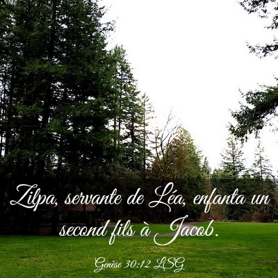 Picture 03 - Genèse 30:12 LSG - Zilpa, servante de Léa, enfanta un second fils - Bible Verse Picture