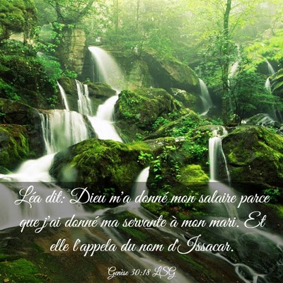 Picture 03 - Genèse 30:18 LSG - Léa dit: Dieu m'a donné mon salaire parce que - Bible Verse Picture