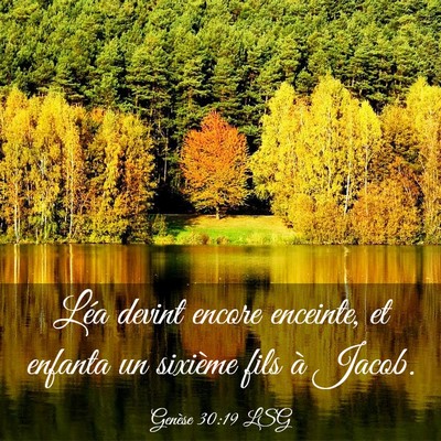 Picture 03 - Genèse 30:19 LSG - Léa devint encore enceinte, et enfanta un - Bible Verse Picture