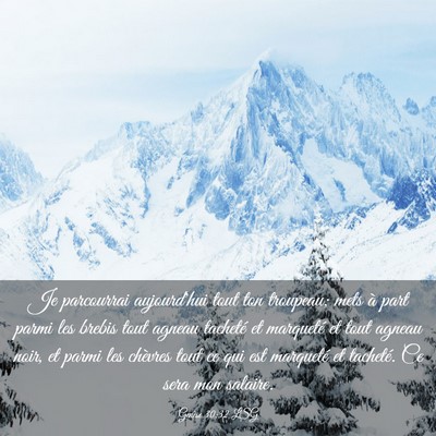 Picture 03 - Genèse 30:32 LSG - Je parcourrai aujourd'hui tout ton troupeau; mets - Bible Verse Picture