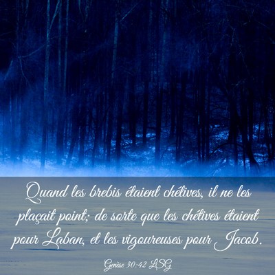 Picture 03 - Genèse 30:42 LSG - Quand les brebis étaient chétives, il ne les - Bible Verse Picture