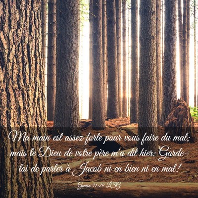 Picture 03 - Genèse 31:29 LSG - Ma main est assez forte pour vous faire du mal; - Bible Verse Picture