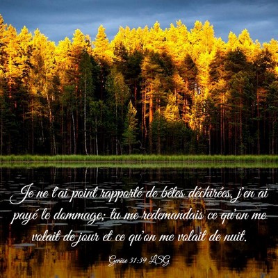 Picture 03 - Genèse 31:39 LSG - Je ne t'ai point rapporté de bêtes déchirées, - Bible Verse Picture