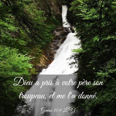 Picture 03 - Genèse 31:9 LSG - Dieu a pris à votre père son troupeau, et me - Bible Verse Picture