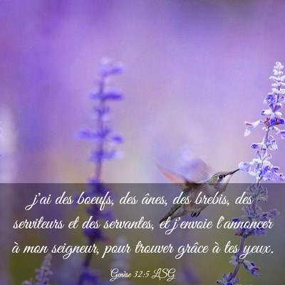Picture 03 - Genèse 32:5 LSG - j'ai des boeufs, des ânes, des brebis, des - Bible Verse Picture