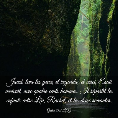 Picture 03 - Genèse 33:1 LSG - Jacob leva les yeux, et regarda; et voici, Esaü - Bible Verse Picture