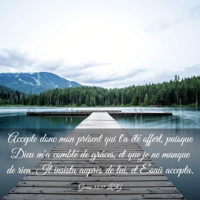 Picture 03 - Genèse 33:11 LSG - Accepte donc mon présent qui t'a été offert, - Bible Verse Picture