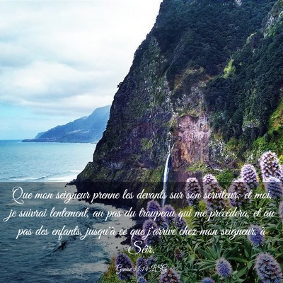 Picture 03 - Genèse 33:14 LSG - Que mon seigneur prenne les devants sur son - Bible Verse Picture