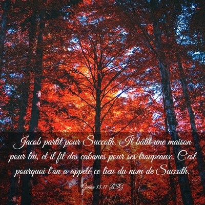 Picture 03 - Genèse 33:17 LSG - Jacob partit pour Succoth. Il bâtit une maison - Bible Verse Picture