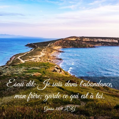 Picture 03 - Genèse 33:9 LSG - Esaü dit: Je suis dans l'abondance, mon frère; - Bible Verse Picture
