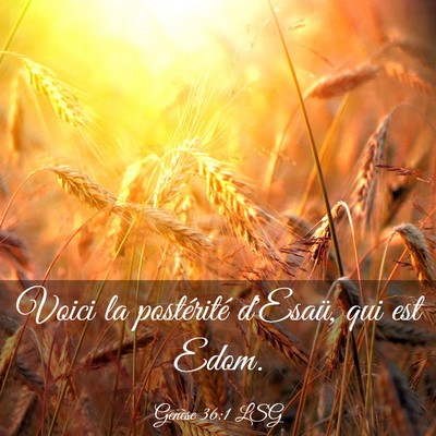 Picture 03 - Genèse 36:1 LSG - Voici la postérité d'Esaü, qui est - Bible Verse Picture