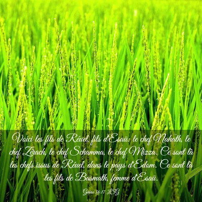 Picture 03 - Genèse 36:17 LSG - Voici les fils de Réuel, fils d'Esaü: le chef - Bible Verse Picture