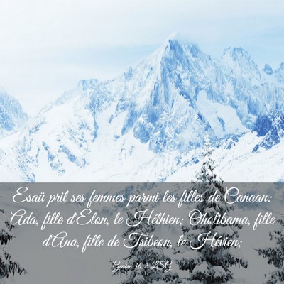 Picture 03 - Genèse 36:2 LSG - Esaü prit ses femmes parmi les filles de Canaan: - Bible Verse Picture
