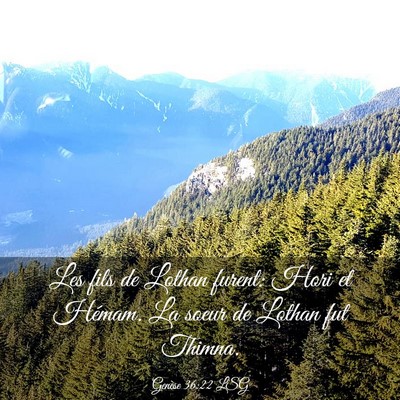 Picture 03 - Genèse 36:22 LSG - Les fils de Lothan furent: Hori et Hémam. La - Bible Verse Picture