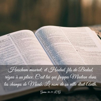 Picture 03 - Genèse 36:35 LSG - Huscham mourut; et Hadad, fils de Bedad, régna - Bible Verse Picture
